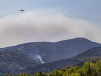 Mount Parnitha wildfire at the outskirts of Athens with visible smoke after the catastrophic blaze, resulting in an environmental disaster,...