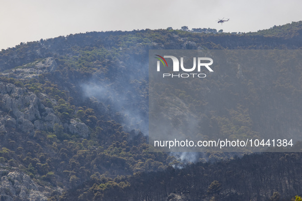 Mount Parnitha wildfire at the outskirts of Athens with visible smoke after the catastrophic blaze, resulting in an environmental disaster,...