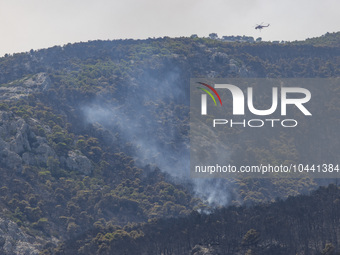 Mount Parnitha wildfire at the outskirts of Athens with visible smoke after the catastrophic blaze, resulting in an environmental disaster,...