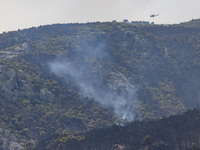 Mount Parnitha wildfire at the outskirts of Athens with visible smoke after the catastrophic blaze, resulting in an environmental disaster,...