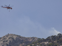 Mount Parnitha wildfire at the outskirts of Athens with visible smoke after the catastrophic blaze, resulting in an environmental disaster,...