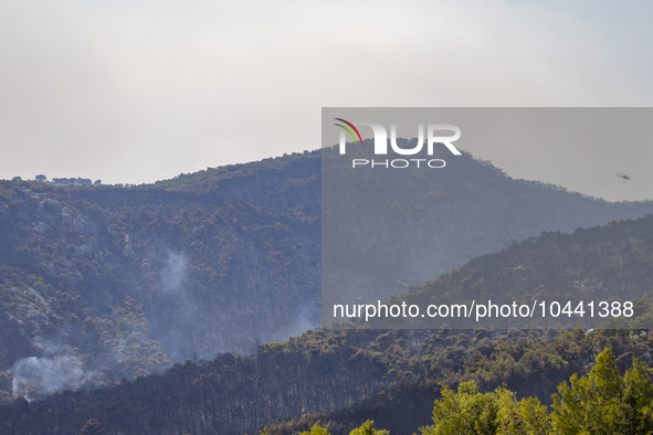 Mount Parnitha wildfire at the outskirts of Athens with visible smoke after the catastrophic blaze, resulting in an environmental disaster,...