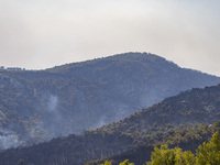 Mount Parnitha wildfire at the outskirts of Athens with visible smoke after the catastrophic blaze, resulting in an environmental disaster,...