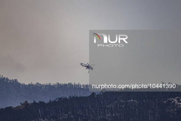 Mount Parnitha wildfire at the outskirts of Athens with visible smoke after the catastrophic blaze, resulting in an environmental disaster,...