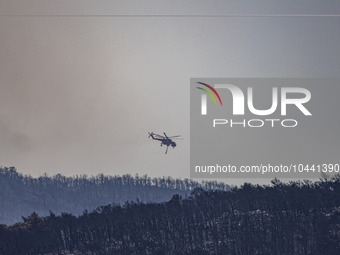 Mount Parnitha wildfire at the outskirts of Athens with visible smoke after the catastrophic blaze, resulting in an environmental disaster,...