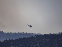 Mount Parnitha wildfire at the outskirts of Athens with visible smoke after the catastrophic blaze, resulting in an environmental disaster,...