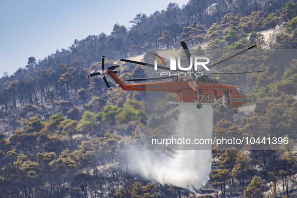 Mount Parnitha wildfire at the outskirts of Athens with visible smoke after the catastrophic blaze, resulting in an environmental disaster,...