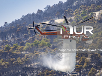 Mount Parnitha wildfire at the outskirts of Athens with visible smoke after the catastrophic blaze, resulting in an environmental disaster,...