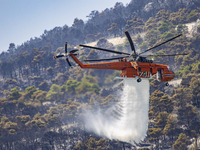 Mount Parnitha wildfire at the outskirts of Athens with visible smoke after the catastrophic blaze, resulting in an environmental disaster,...