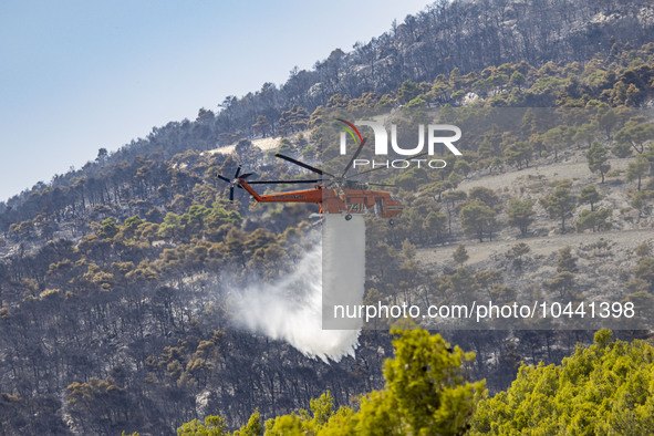 Mount Parnitha wildfire at the outskirts of Athens with visible smoke after the catastrophic blaze, resulting in an environmental disaster,...