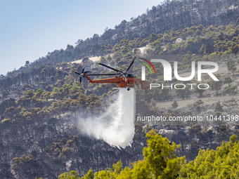 Mount Parnitha wildfire at the outskirts of Athens with visible smoke after the catastrophic blaze, resulting in an environmental disaster,...