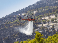 Mount Parnitha wildfire at the outskirts of Athens with visible smoke after the catastrophic blaze, resulting in an environmental disaster,...