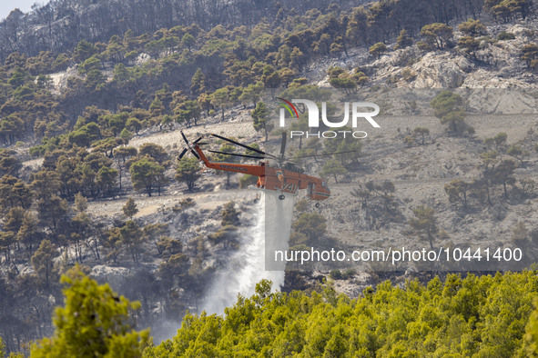 Mount Parnitha wildfire at the outskirts of Athens with visible smoke after the catastrophic blaze, resulting in an environmental disaster,...