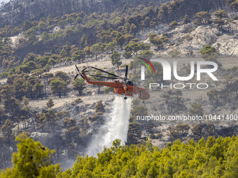 Mount Parnitha wildfire at the outskirts of Athens with visible smoke after the catastrophic blaze, resulting in an environmental disaster,...