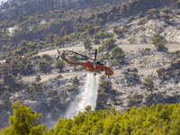 Mount Parnitha wildfire at the outskirts of Athens with visible smoke after the catastrophic blaze, resulting in an environmental disaster,...