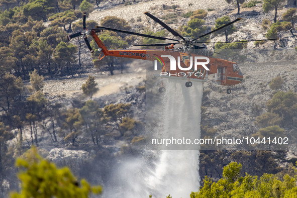 Mount Parnitha wildfire at the outskirts of Athens with visible smoke after the catastrophic blaze, resulting in an environmental disaster,...