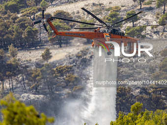 Mount Parnitha wildfire at the outskirts of Athens with visible smoke after the catastrophic blaze, resulting in an environmental disaster,...