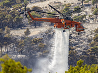 Mount Parnitha wildfire at the outskirts of Athens with visible smoke after the catastrophic blaze, resulting in an environmental disaster,...