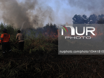 Firefighters from Regional Disaster Management Agency (BPBD) personnel and Indonesian Police Personnel from Ogan Ilir Regency are currently...