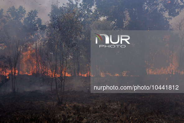 Firefighters from Regional Disaster Management Agency (BPBD) personnel and Indonesian Police Personnel from Ogan Ilir Regency are currently...