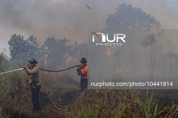 Firefighters from Regional Disaster Management Agency (BPBD) personnel and Indonesian Police Personnel from Ogan Ilir Regency are currently...