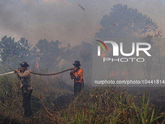 Firefighters from Regional Disaster Management Agency (BPBD) personnel and Indonesian Police Personnel from Ogan Ilir Regency are currently...