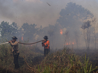 Firefighters from Regional Disaster Management Agency (BPBD) personnel and Indonesian Police Personnel from Ogan Ilir Regency are currently...