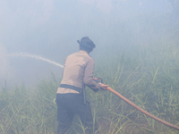 Firefighters from Regional Disaster Management Agency (BPBD) personnel and Indonesian Police Personnel from Ogan Ilir Regency are currently...