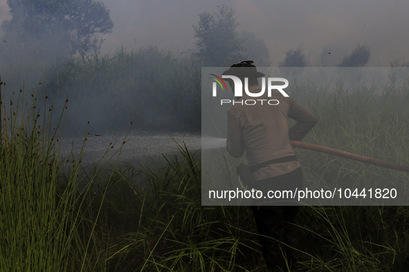 Firefighters from Regional Disaster Management Agency (BPBD) personnel and Indonesian Police Personnel from Ogan Ilir Regency are currently...