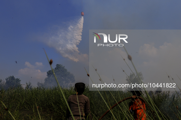 Firefighters from Regional Disaster Management Agency (BPBD) personnel and Indonesian Police Personnel from Ogan Ilir Regency are currently...