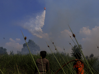 Firefighters from Regional Disaster Management Agency (BPBD) personnel and Indonesian Police Personnel from Ogan Ilir Regency are currently...