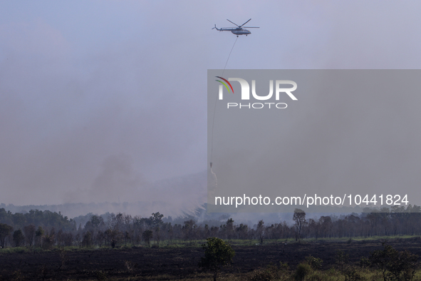 Firefighters from Regional Disaster Management Agency (BPBD) personnel and Indonesian Police Personnel from Ogan Ilir Regency are currently...