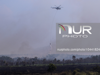 Firefighters from Regional Disaster Management Agency (BPBD) personnel and Indonesian Police Personnel from Ogan Ilir Regency are currently...