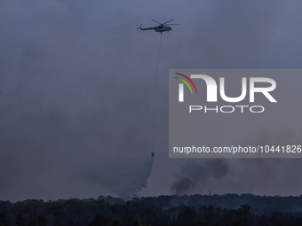 Firefighters from Regional Disaster Management Agency (BPBD) personnel and Indonesian Police Personnel from Ogan Ilir Regency are currently...