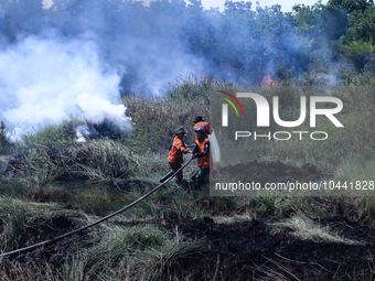 Firefighters from Regional Disaster Management Agency (BPBD) personnel and Indonesian Police Personnel from Ogan Ilir Regency are currently...