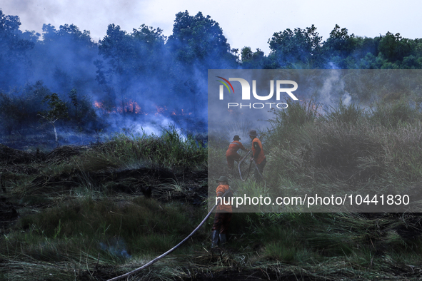 Firefighters from Regional Disaster Management Agency (BPBD) personnel and Indonesian Police Personnel from Ogan Ilir Regency are currently...