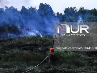 Firefighters from Regional Disaster Management Agency (BPBD) personnel and Indonesian Police Personnel from Ogan Ilir Regency are currently...