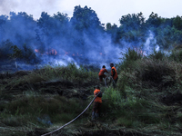 Firefighters from Regional Disaster Management Agency (BPBD) personnel and Indonesian Police Personnel from Ogan Ilir Regency are currently...