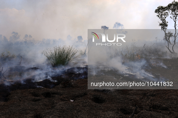 Firefighters from Regional Disaster Management Agency (BPBD) personnel and Indonesian Police Personnel from Ogan Ilir Regency are currently...