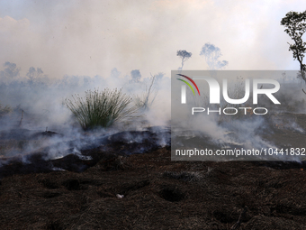 Firefighters from Regional Disaster Management Agency (BPBD) personnel and Indonesian Police Personnel from Ogan Ilir Regency are currently...