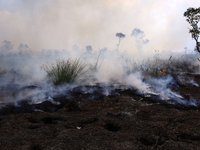 Firefighters from Regional Disaster Management Agency (BPBD) personnel and Indonesian Police Personnel from Ogan Ilir Regency are currently...