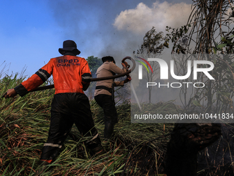 Firefighters from Regional Disaster Management Agency (BPBD) personnel and Indonesian Police Personnel from Ogan Ilir Regency are currently...