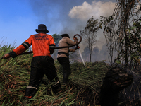 Firefighters from Regional Disaster Management Agency (BPBD) personnel and Indonesian Police Personnel from Ogan Ilir Regency are currently...