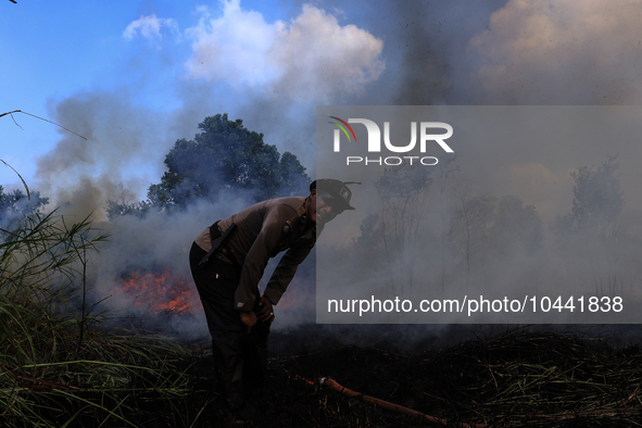 Firefighters from Regional Disaster Management Agency (BPBD) personnel and Indonesian Police Personnel from Ogan Ilir Regency are currently...