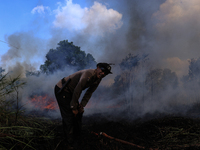 Firefighters from Regional Disaster Management Agency (BPBD) personnel and Indonesian Police Personnel from Ogan Ilir Regency are currently...