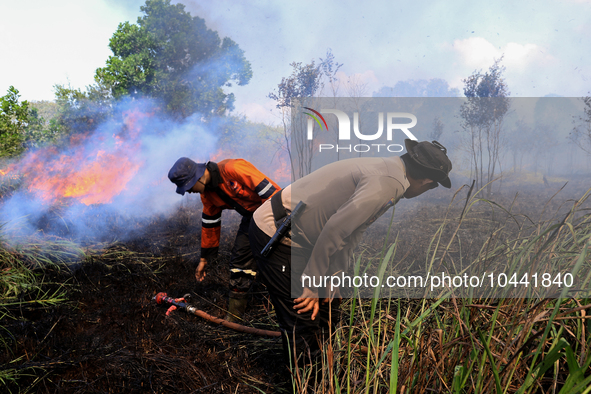 Firefighters from Regional Disaster Management Agency (BPBD) personnel and Indonesian Police Personnel from Ogan Ilir Regency are currently...