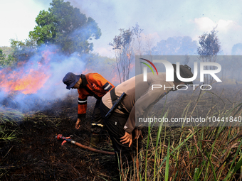 Firefighters from Regional Disaster Management Agency (BPBD) personnel and Indonesian Police Personnel from Ogan Ilir Regency are currently...