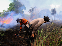 Firefighters from Regional Disaster Management Agency (BPBD) personnel and Indonesian Police Personnel from Ogan Ilir Regency are currently...