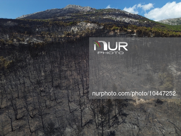 Areal view of a small part of the burned area following the forest fire that raged in Mount Parnitha overlooking Athens, Greece on September...