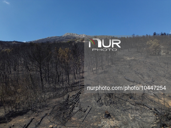 Areal view of a small part of the burned area following the forest fire that raged in Mount Parnitha overlooking Athens, Greece on September...